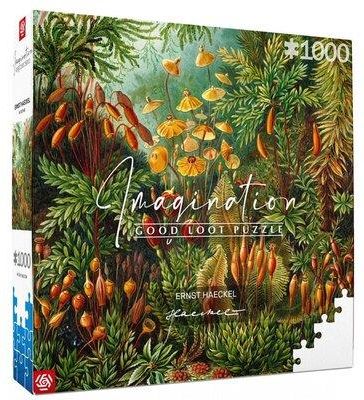 i-cenega-puzzle-imagination-ernst-haeckel-muscinae-1000el