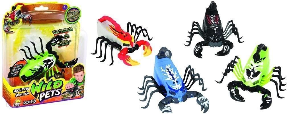 i-cobi-vild-pets-skorpion-29004