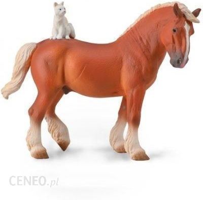 i-collecta-kon-draft-z-kotem