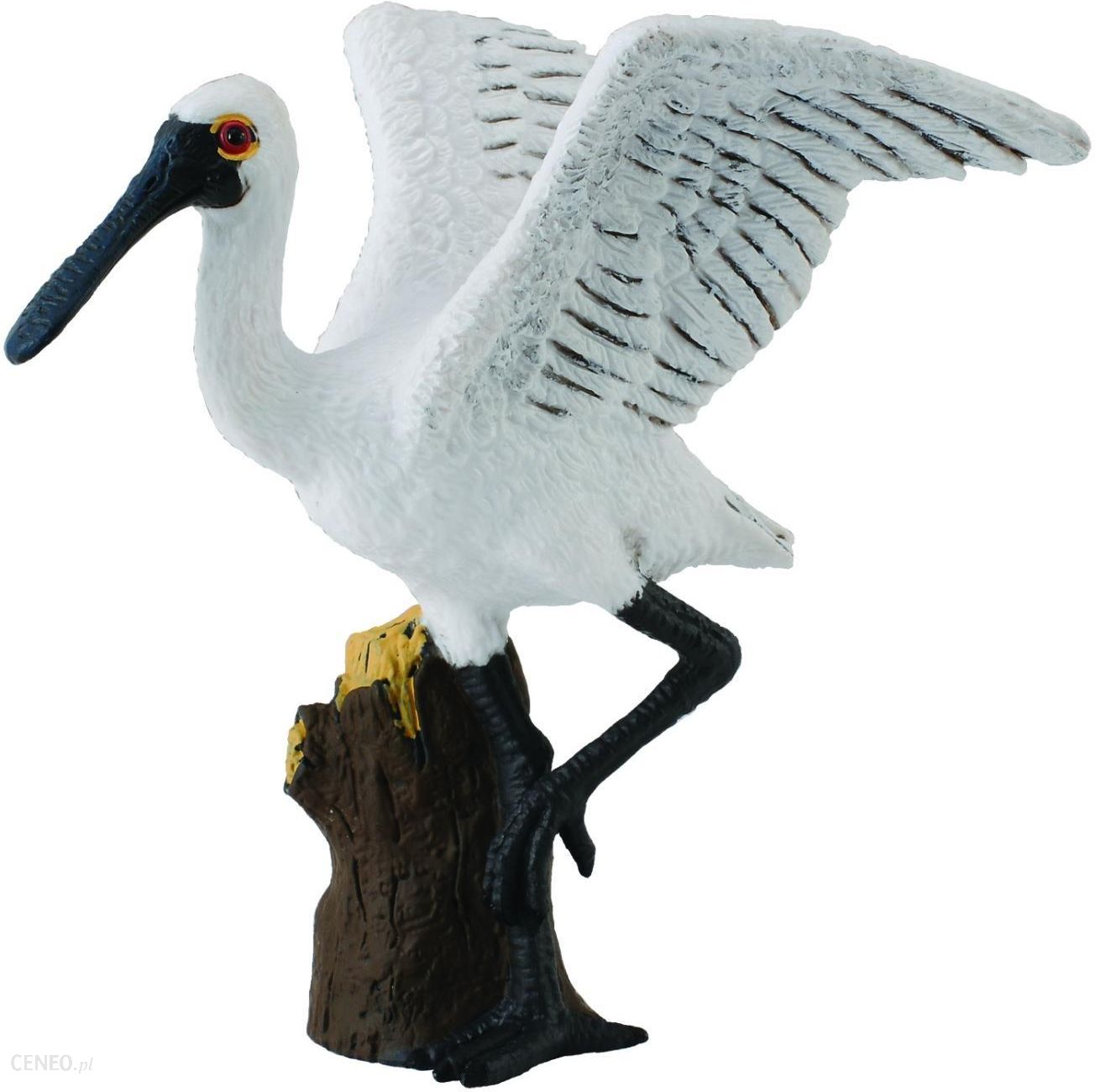i-collecta-ptak-warzecha-mala-stojaca-88396