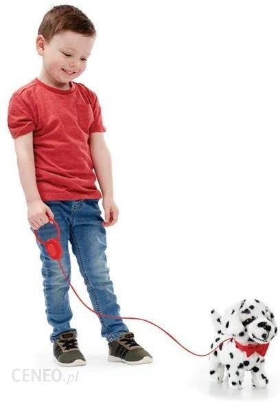 i-happy-pets-walk-along-puppy-dalmatian