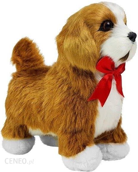i-import-leantoys-interaktywny-pies-cavalier-spaniel